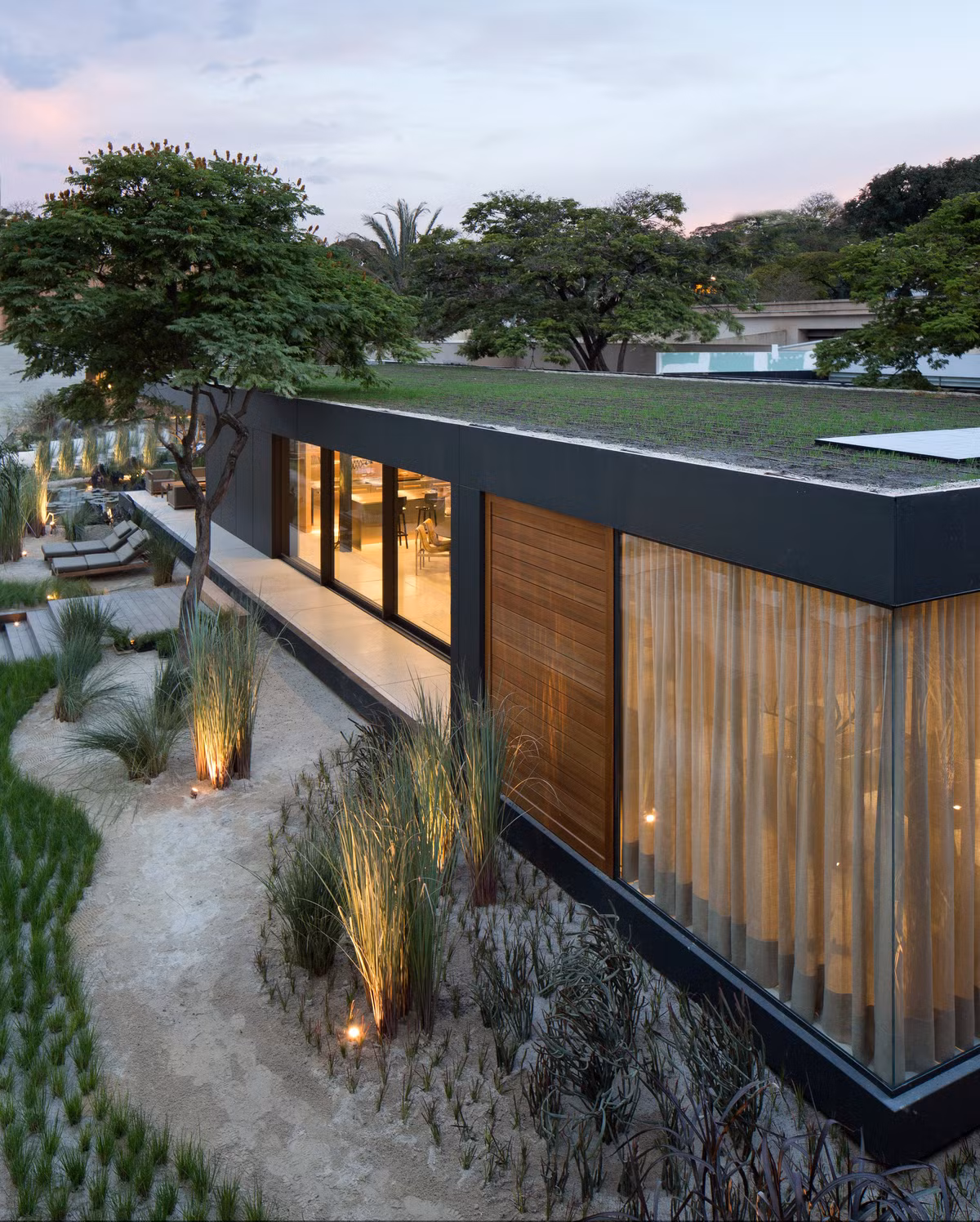 Phần mái nhà được coi là điểm nhấn độc đáo này khi nó được dùng để trồng cây, tạo sự thân thiện với môi trường.