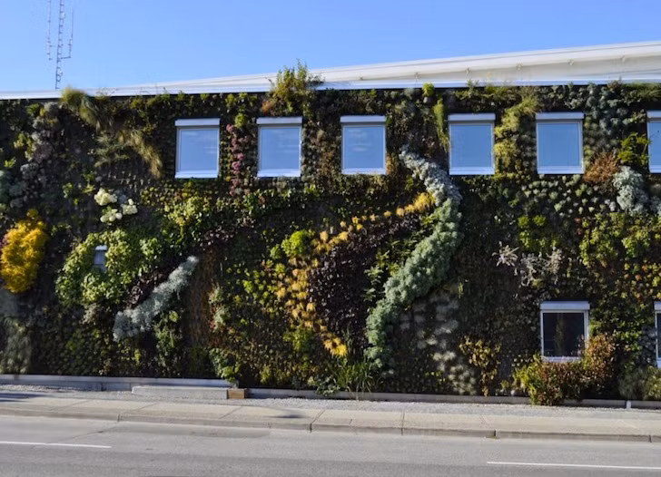 Để tạo thành thảm thực vật này, kiến trúc sư đã phải sử dụng phương pháp thủy canh, gắn liền cây vào tường mà không cần tốn đến mét đất nào.