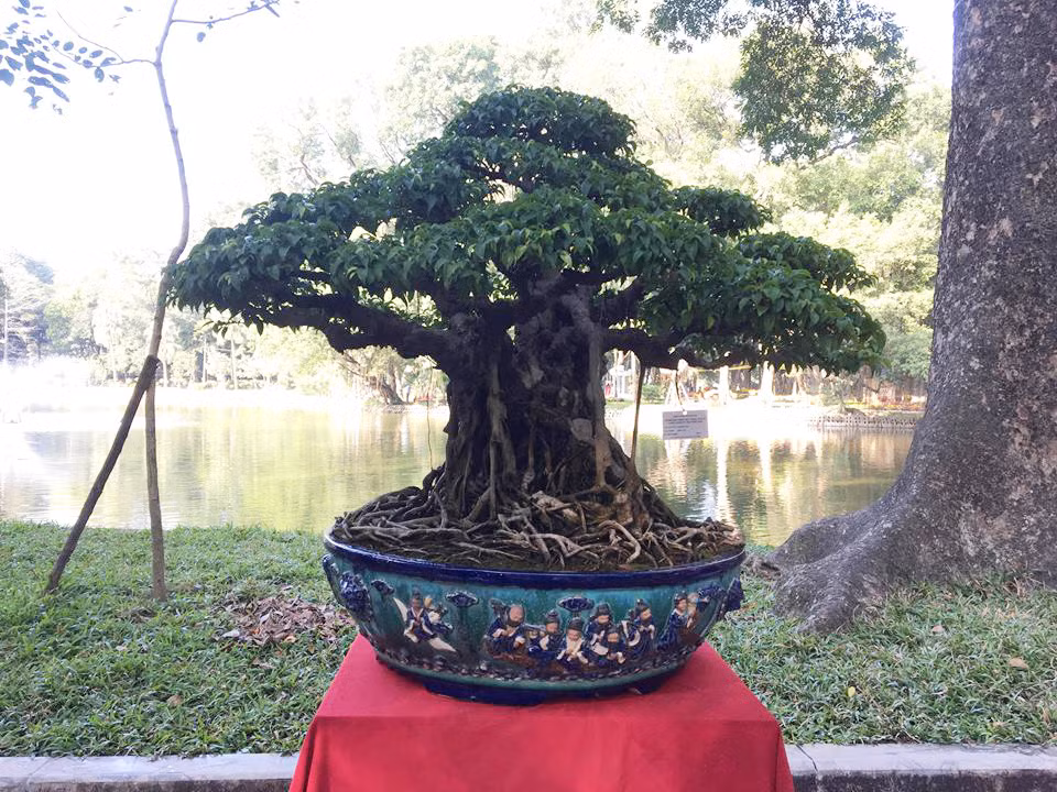 Được biệt, siêu phẩm này được trả giá lên đến vài trăm triệu đồng nhưng chủ nhân của nó vẫn không chịu bán.