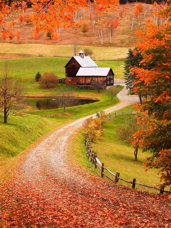 Ngôi nhà nhỏ nằm trên một “rẻo” đất rộng 24.887km2 là điểm đến yêu thích của rất nhiều du khách Bắc Mỹ bởi vẻ đẹp thơ mộng và yên bình.