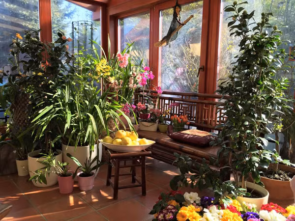 Đổi lại công việc làm vườn vất vả hàng ngày là cả vườn hoa ai cũng tấm tắc khen ngợi.