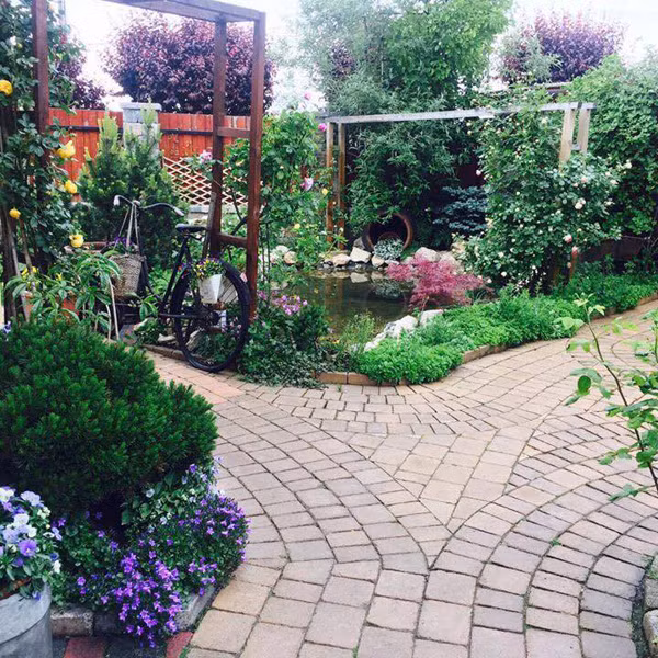 Cách thức trồng hoa và làm vườn chị không hề đọc từ sách báo hay được ai chỉ dẫn. Tất cả được tích lũy từ quá trình chăm sóc để rút ra những kinh nghiệm quý báu.