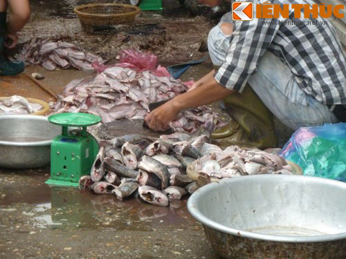 Để làm món bún cá bẩn, nguyên liệu cá được tận dụng từ cá ươn thối còn sót lại do bán ế ở các chợ đầu mối. Tiểu thương sẽ gom lại rồi cất công ngồi lóc thịt ra sau đó rán giòn lên và phân phối về hầu hết cửa hàng bán bún cá vỉa hè, kém uy tín. Ảnh: Lê Phương.