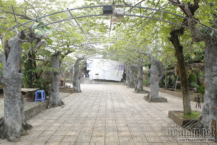 Được biết, nghệ sĩ Giang còi đã tự làm từ đóng gạch đến lát lối đi, xích đu, tự đào ao nhỏ thả cá trồng sen,...trong nhà vườn 10.000m2 của mình. Ảnh: vietnamnet.