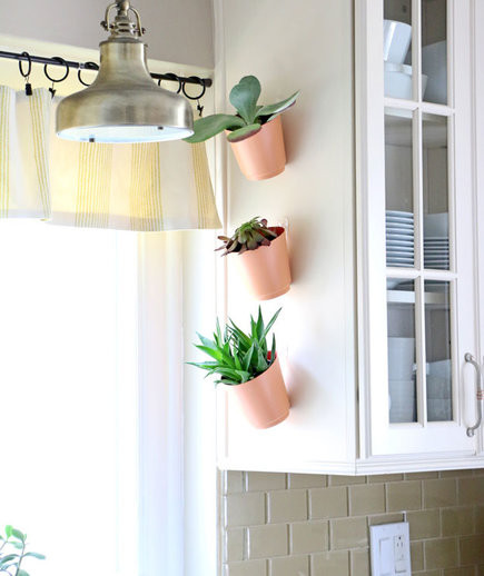 Vườn cho không gian hẹp. Bạn hoàn toàn có thể tạo một khu vườn thẳng đứng ở bậu cửa sổ, ở cửa phòng tắm hay cửa ra vào. Chỉ đơn giản là gắn móc và treo cây cùng màu chậu lên tường là xong.