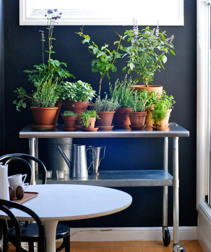 Góc vườn. Dành riêng một góc trong ngôi nhà để tạo vườn, chỉ cần đảm bảo khu vườn nhỏ này có ánh sáng chiếu vào. Có thể đó là kệ sách hay nóc của chiếc tủ đựng đồ cũng đã dễ dàng biến nó thành góc vườn nhỏ.