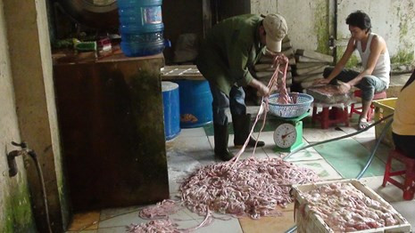 Ghe ron long heo tam chat tay rua cong nghiep Trung Quoc-Hinh-2