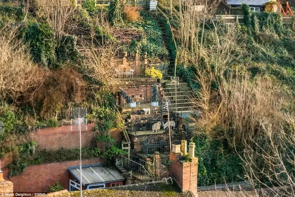 Ông Dracup còn xây cầu thang trong nhà, chắn thêm lớp gạch để ngăn tiếng ồn. Ông cũng tạo ra sân vườn gần như thẳng đứng trên các hang động. Sân vườn có thiết kế phức tạp đến nỗi hơn một lần các thanh tra địa phương nhầm tưởng nó là đống đổ nát.