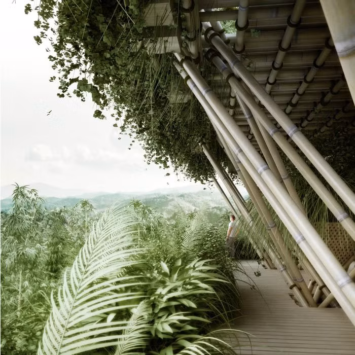 Sau đó nó được chồng và nối lại với nhau thành một bức tường tre dày đặc.