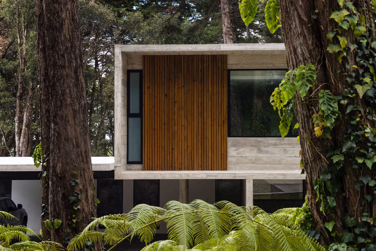 Toàn bộ khuôn viên ngôi nhà rộng tới 699 m2.