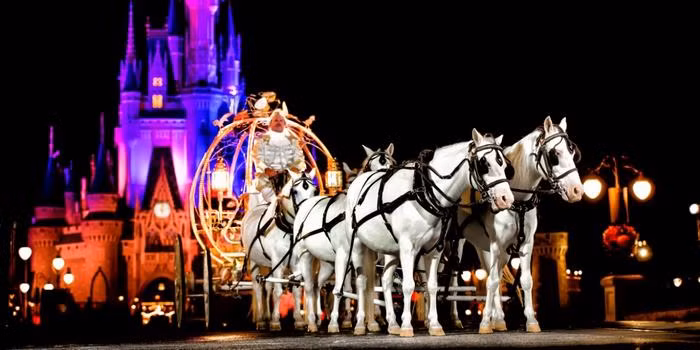 Cỗ xe ngựa thay cho những chiếc siêu xe đón dâu.