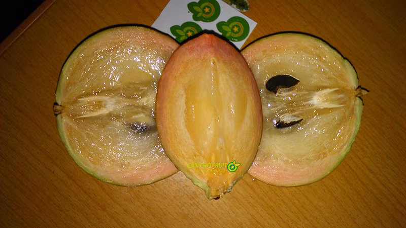 Vú sữa bơ hồng thường bắt đầu cho thu hoạch từ tháng 10 âm lịch và kéo dài cho đến Tết. Ảnh: Canthofruit. 