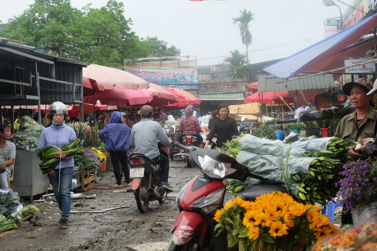 Với số lượng hoa tươi 8/3 tăng đột biến, các tiểu thương đổ về chợ Quảng Bá vì tại đây, hoa sẽ được nhập với giá gốc, nguồn hoa phong phú, đa dạng.