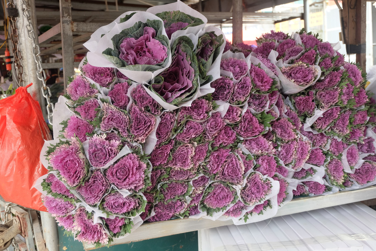 Tại chợ hoa, hoa bắp cải tím lạ mắt được rao bán 50.000 đồng/bông. Theo các tiểu thương, hoa này được bán lẻ nhiều hơn đổ sỉ số lượng lớn.