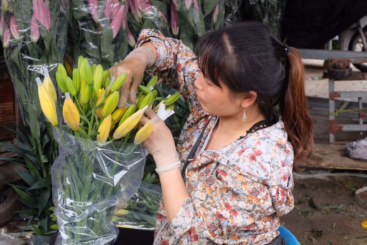 Trong đó, giá ly đã tăng lên mức từ 15.000 đồng/cành so với thời điểm rớt giá thê thảm cách đây khoảng một tuần lễ (với mức 8.000 đồng/cành).