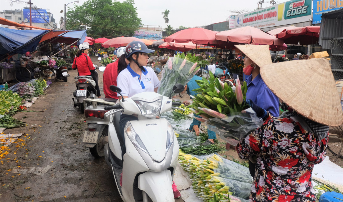 Đã nhiều ngày nay, từ 3h sáng đến 7h tối, hàng trăm tiểu thương ở Hà Nội và các vùng lân cận đổ về chợ hoa Quảng Bá - chợ hoa đầu mối lớn nhất Hà Thành để nhập hàng cho ngày 8/3.