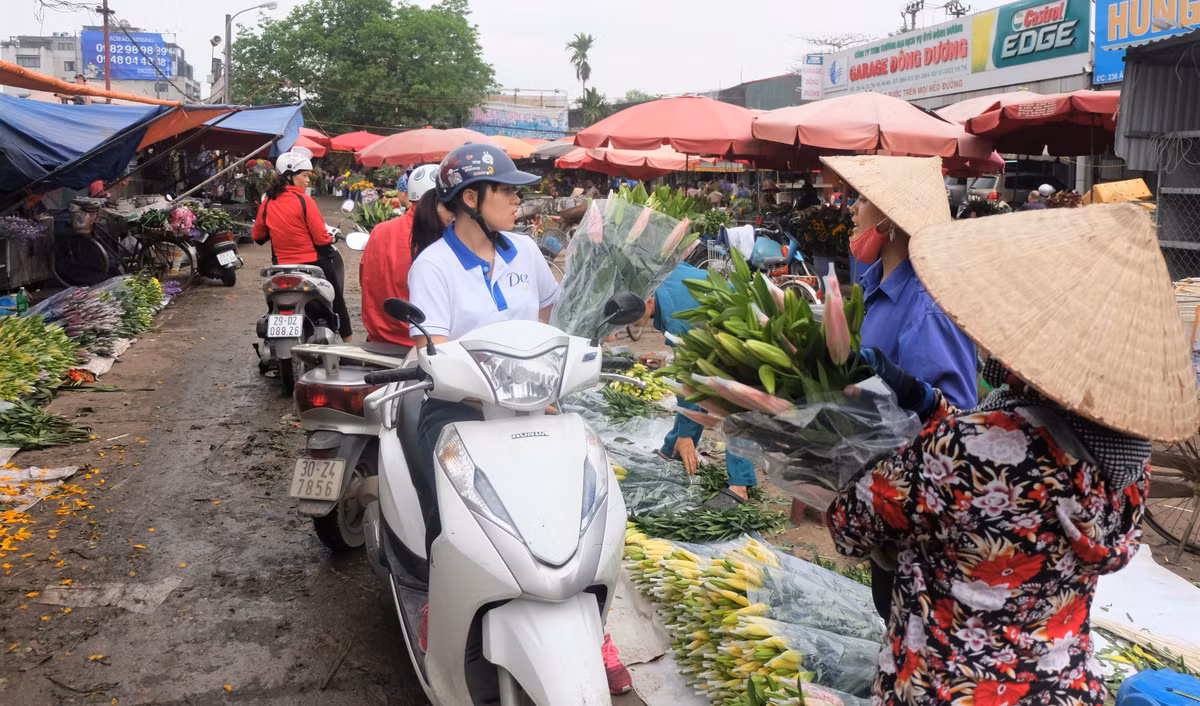 Đã nhiều ngày nay, từ 3h sáng đến 7h tối, hàng trăm tiểu thương ở Hà Nội và các vùng lân cận đổ về chợ hoa Quảng Bá - chợ hoa đầu mối lớn nhất Hà Thành để nhập hàng cho ngày 8/3.