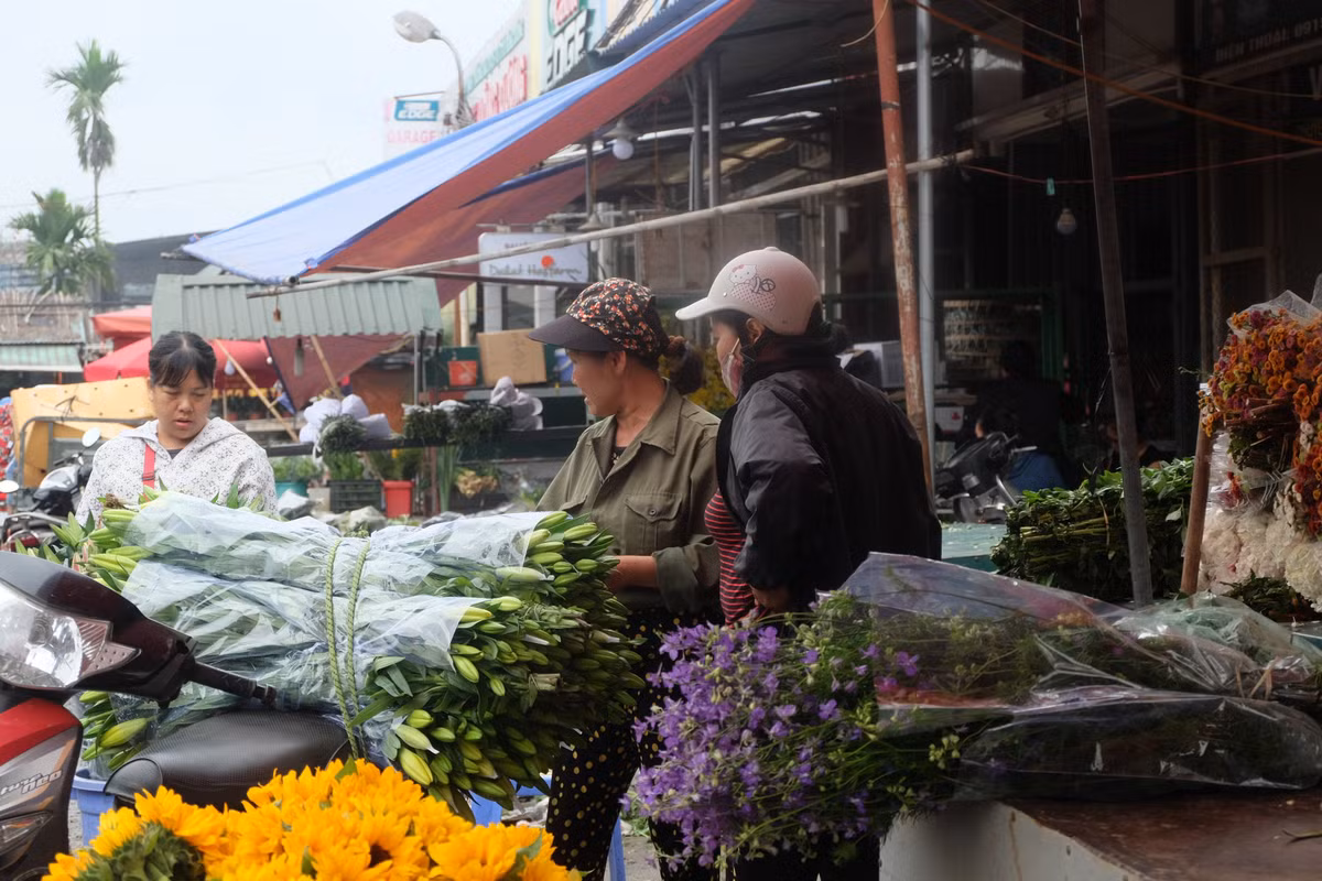 Sau khi được phân loại và tuyển chọn kỹ càng, hoa tươi được chất lên các xe để chở về cửa hàng. Các tiểu thương tại chợ đầu mối đánh giá hoa tươi năm nay đẹp và có giá rẻ hơn so với cùng thời điểm này năm trước.