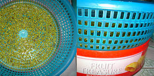 Hạt giống kèm dụng cụ cần thiết phải có sẵn.