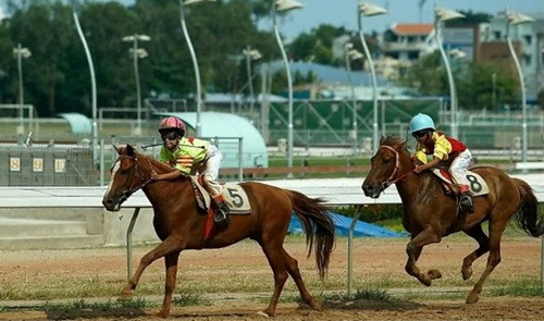 Ngoài đua ngựa, ở trường đua Đại Nam còn có nơi huấn luyện nài, cưỡi ngựa tham quan cho du khách, đua ngựa địa hình, sân cho khách tập đua ngựa, chăm nuôi ngựa... theo mô hình từ Dubai. Ảnh minh họa: Giadinh.