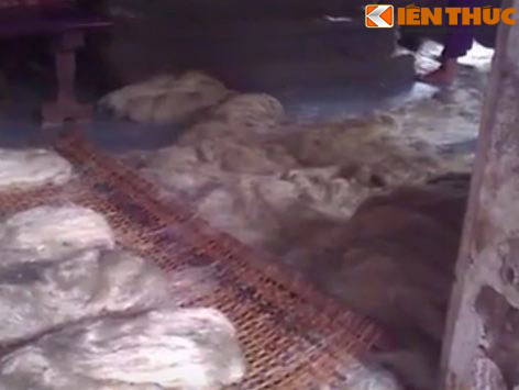 Miến sau khi cắt bị chất thành đống dưới sàn nhà dơ bẩn.