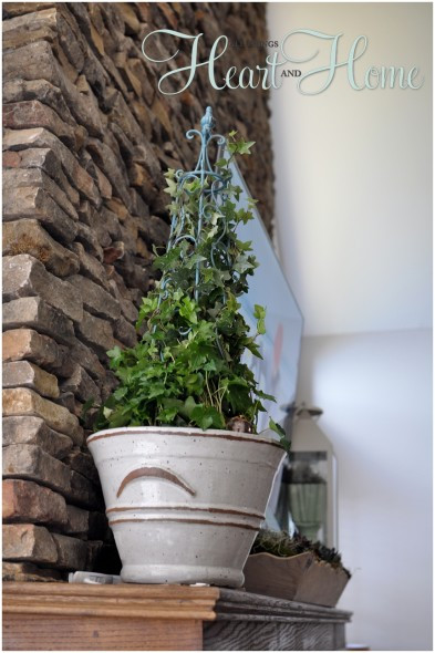 10 loai cay an tuong nhat trang tri nha cua