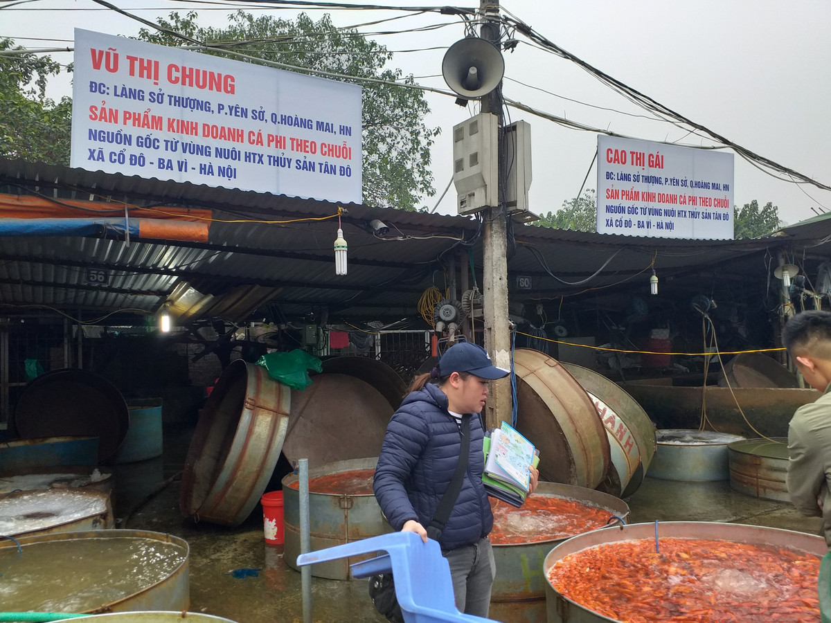 Chị Chung - một tiểu thương tại chợ cho biết: năm nay thời tiết không tốt nên giá cá tăng nhẹ hơn những năm trước.