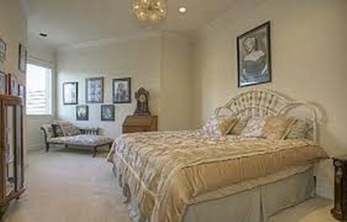 Đây không phải là lần đầu tiên ông có những hành động khác người như thế này. Vào năm 2014, ông cũng đã thuê một đại diện truyền thông cho chó cưng của mình, trả tiền đến 45$/giờ để đăng bài quảng cáo về con chó quý giá của mình.