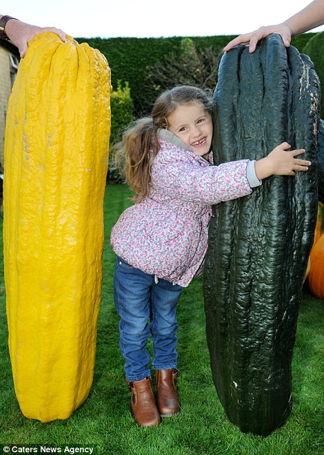 Ông Vowles nói: "Tôi chỉ là một người trồng rau nghiệp dư. Trời cho tôi may mắn trong những năm qua. Đối với công việc làm vườn đó là sở thích của tôi”. 