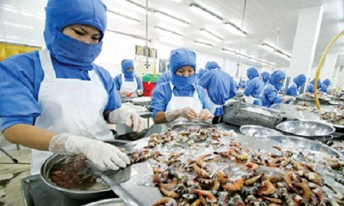 Kinh hoang nhung mieng an tam khang sinh