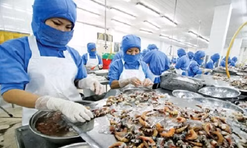 Kinh hoang nhung mieng an tam khang sinh