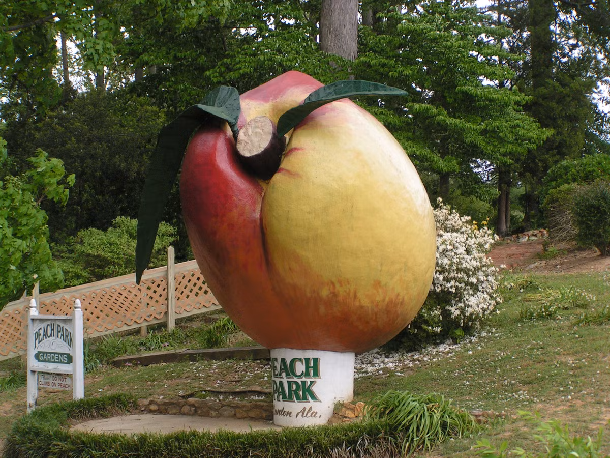 Tháp nước Peachoid. Tháp nước khổng lồ ở Nam Carolina mô phỏng theo một quả đào tiên, thế nhưng nó lại được nghĩ xuyên tạc là là cặp mông hay vùng kín phụ nữ. Theo khác khán giả thì nó là tháp nước xấu nhất từ trước đến giờ.