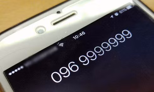 Ngoai Ngoc Trinh, dai gia nao gay sot vi mua sim gia khung?-Hinh-3