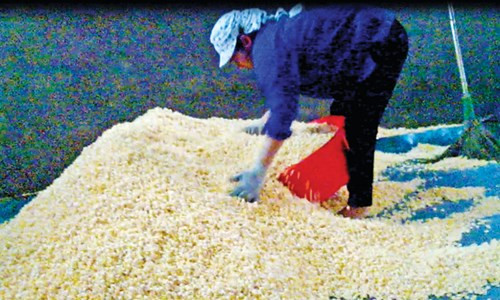 Hai hung bim bim nhuom day pham mau bua vay cong truong-Hinh-2