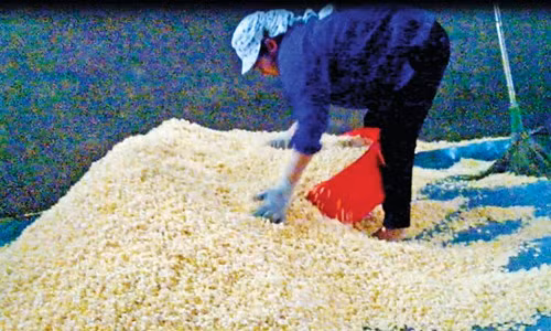 Hai hung bim bim nhuom day pham mau bua vay cong truong-Hinh-2