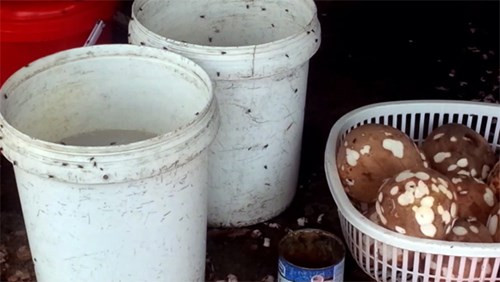 Dụng cụ đựng nguyên liệu làm kem bẩn không kém, ruồi bu kín rất mất vệ sinh. Ảnh: ANTĐ.