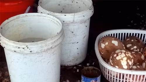 Dụng cụ đựng nguyên liệu làm kem bẩn không kém, ruồi bu kín rất mất vệ sinh. Ảnh: ANTĐ.