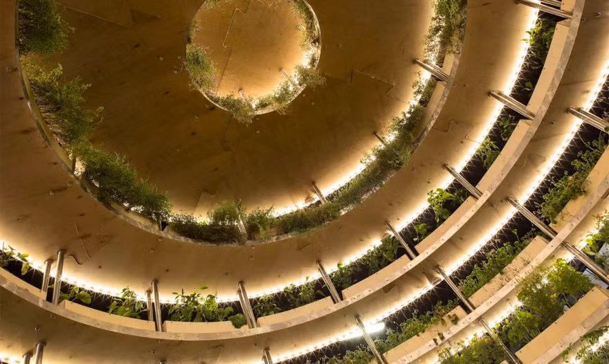 Mô hình trồng cây xanh hình quả địa cầu được gắn kết rất tỉ mỉ sáng tạo từ những tấm ván ép sẵn và đinh vít...