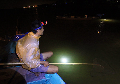 Săn cá lệch. Khi lũ về, nhân dân đang lo lắng đi tránh bão tránh lũ thì dân ở vùng Cửa Đại (Hội An - Quảng Nam) vội vàng rủ nhau neo thuyền dưới những chân cầu để săn loài đặc sản nổi tiếng là cá lệch. Loài cá này ngon và lạ bởi nó được chế biến thành nhiều món, từ canh chua đến kho mặn, món nào ăn cũng đậm đà đưa cơm.