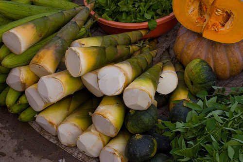 Măng đắng. Cuối tháng 7, đầu tháng 8 khi những trận mưa thay thế nắng nóng kéo dài cũng là lúc bà con miền Tây xứ Nghệ lại đi săn loại rau đặc sản của rừng. Loại rau này đặc biệt ngon khi nó được hái trước khi có tiếng sấm, vì thế bà con sẽ phải đi khi trời bắt đầu xập xệ đổ cơn mưa.