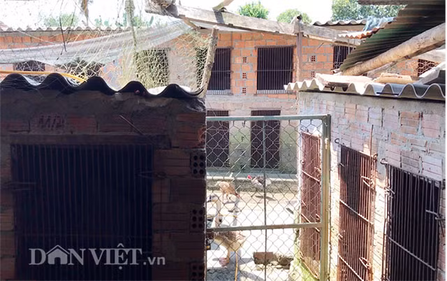 Nuoi chon huong xau xi de thu loi khung-Hinh-3