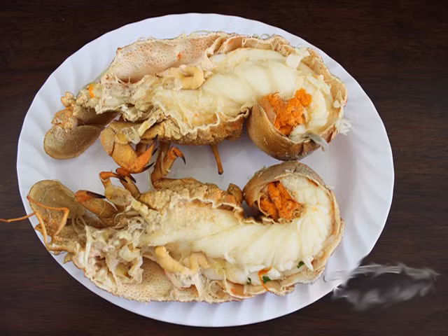 Hiện nay, thực đơn của hầu hết nhà hàng nổi tiếng trên thế giới đều không thể thiếu loại tôm quý này. Ảnh: Haisantuoisong.