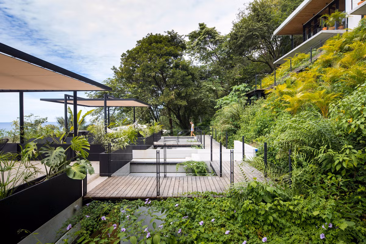 Mint Santa Teresa do Studio Saxe - một công ty kiến trúc có trụ sở tại San José - thiết kế.