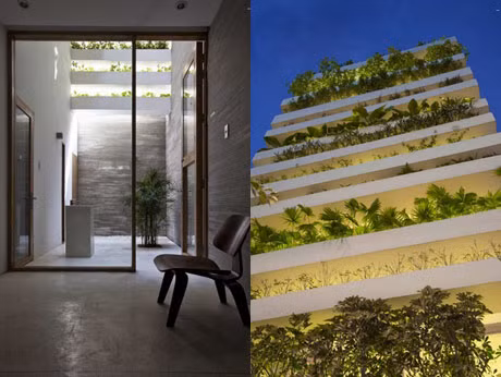 Ngôi nhà này mang nét đặc trưng của những người Sài Gòn, mặt tiền và hậu đều đặt những chậu cây xanh. Nó không chỉ làm cho căn nhà đầy sức sống và chứa đựng vẻ đẹp cuốn hút mà nó có thể tạo nên những không gian mát mẻ và thanh lọc không khí.