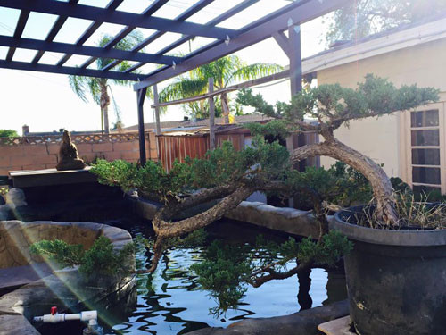 Thêm vào phong cách thiền ấy là những cây cảnh bonsai được chính tay ca sỹ cắt tỉa đặt khắp nơi trong khu vườn.