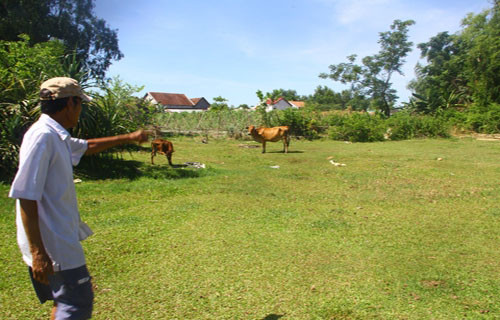 Cậu bé 14 tuổi thành tỷ phú nhờ nhặt được vàng. Câu chuyện về cậu bé 14 tuổi Nguyễn Văn Nông, Quảng Nam vẫn được người dân nhắc lại như in. Cậu bé nghịch chiếc máy rà phế liệu và thấy báo có kim loại trong lòng đất. (Ảnh: Nơi cậu bé dò tìm được vàng)