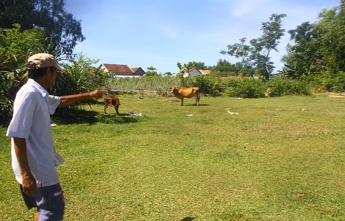 Cậu bé 14 tuổi thành tỷ phú nhờ nhặt được vàng. Câu chuyện về cậu bé 14 tuổi Nguyễn Văn Nông, Quảng Nam vẫn được người dân nhắc lại như in. Cậu bé nghịch chiếc máy rà phế liệu và thấy báo có kim loại trong lòng đất. (Ảnh: Nơi cậu bé dò tìm được vàng)