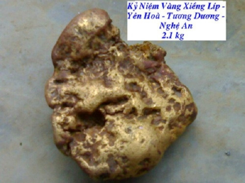 Sau hơn một tuần nơi rừng thiêng nước độc, một buổi sáng, anh đã thấy một cục vàng to như nấm xòe ở giữa lòng suối chính là vàng ròng, cân nặng 2,1kg. Mấy ngày sau, anh Ối mang vàng ra tiệm vàng bán và được trả hơn 1 tỷ đồng.