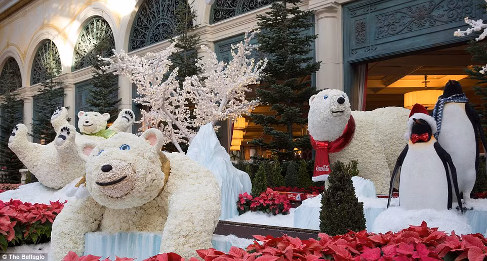 Chúng ta không đủ khả năng để ở một đêm trong những khách sạn sang trọng trong đêm giáng sinh. Nhưng điều đó không có nghĩa chúng ta không được ngắm nhìn chúng.