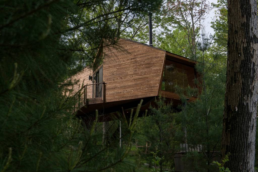 Xung quanh Willow Treehouse là bạt ngàn cây cối xanh mát.